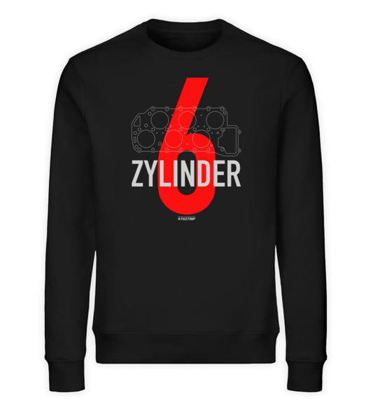 6 Zylinder Sweater